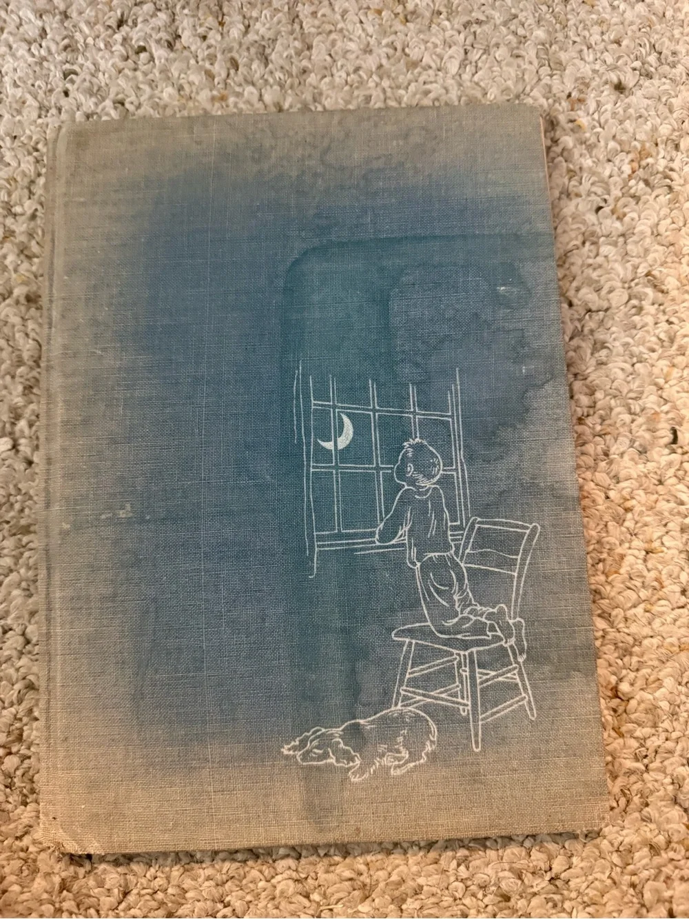 Vintage Blue Clothbound Book with White Line Illustration